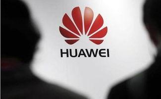 华为员工爆料新闻,揭秘公司内部惊人内幕  第1张