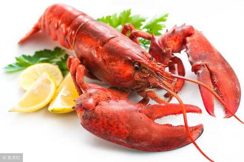 龙虾最新爆料新闻内容 第1张 龙虾最新爆料新闻内容 第1张