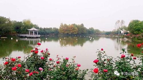 互动桌面最新爆料下载,揭秘未来智能交互新趋势 第3张 互动桌面最新爆料下载,揭秘未来智能交互新趋势 第3张